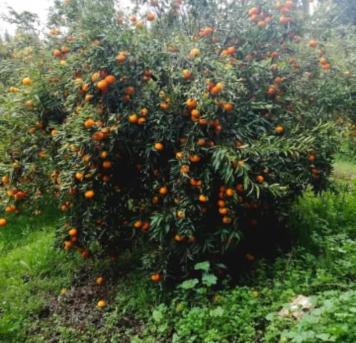 Dar Khedija Pension El Kheriba Buitenkant foto