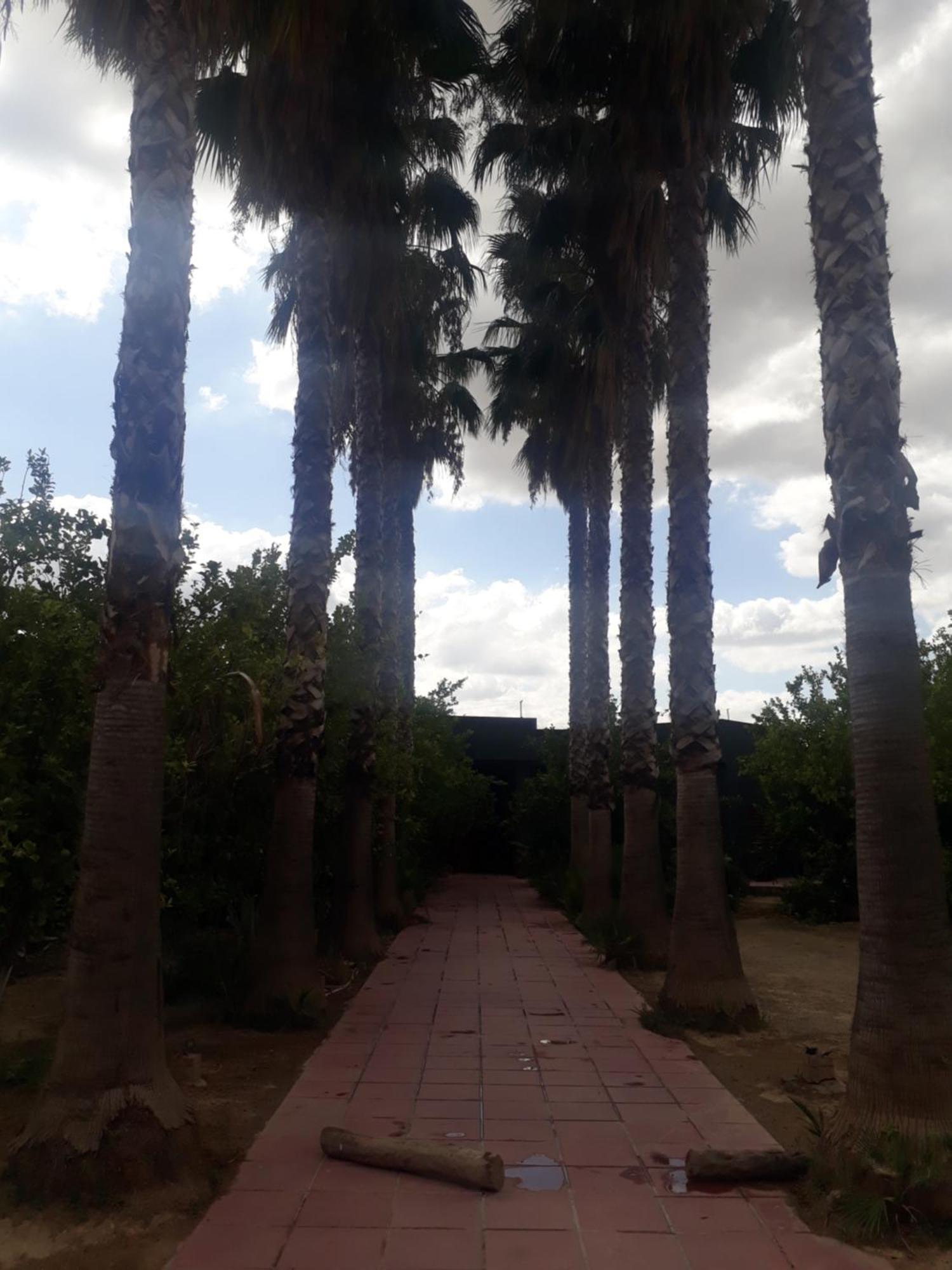 Dar Khedija Pension El Kheriba Buitenkant foto